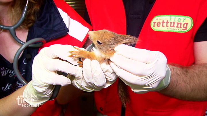 Tierrettung München Tierrettung München