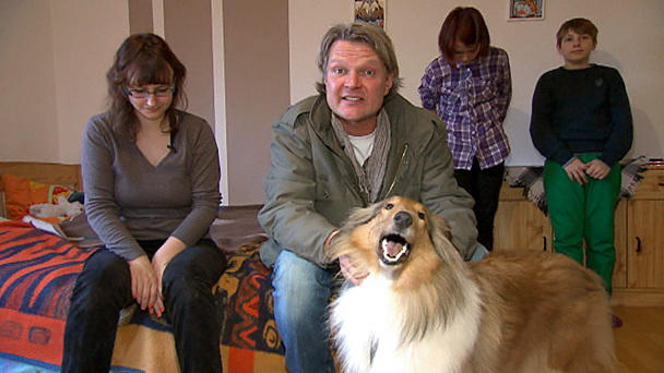 Ein tierischer Therapeut Ein tierischer Therapeut