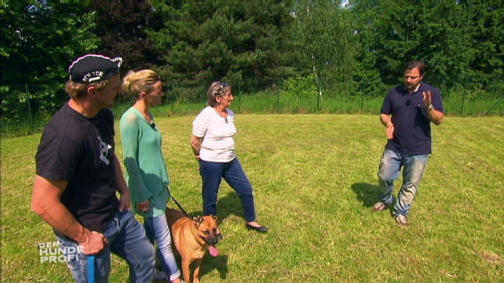 Warum reagiert Hündin Leo aggressiv auf andere Hunde? Warum reagiert Hündin Leo aggressiv auf andere Hunde?
