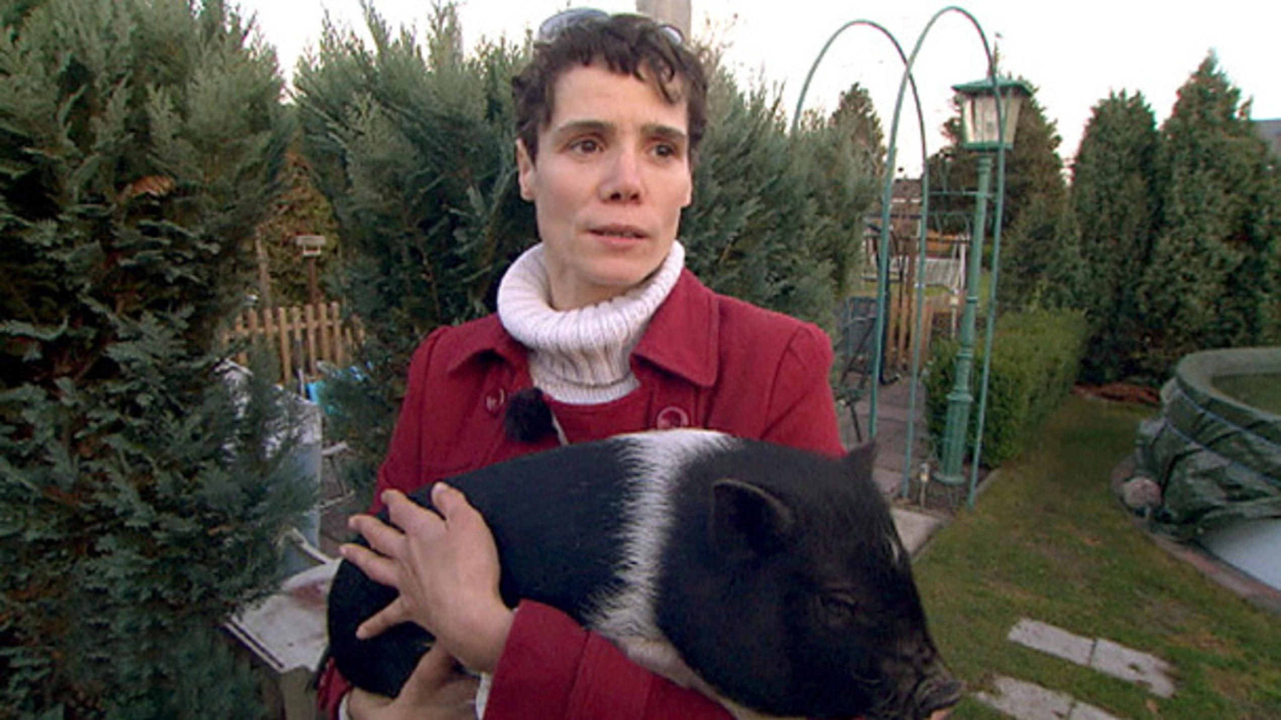 Schwein gehabt - Die etwas andere Tieragentur: Staffel 2 Schwein gehabt - Die etwas andere Tieragentur: Staffel 2