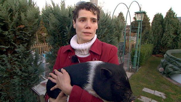 Schwein gehabt - Die etwas andere Tieragentur: Staffel 2 Schwein gehabt - Die etwas andere Tieragentur: Staffel 2