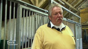 Landtierarzt Dr. Hansjörg Heeren: Liebesbote Landtierarzt Dr. Hansjörg Heeren: Liebesbote