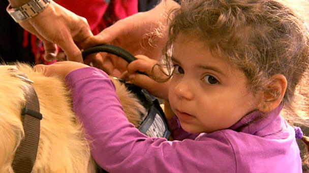 Diana Eichhorn und die tierischen Therapeuten Diana Eichhorn und die tierischen Therapeuten