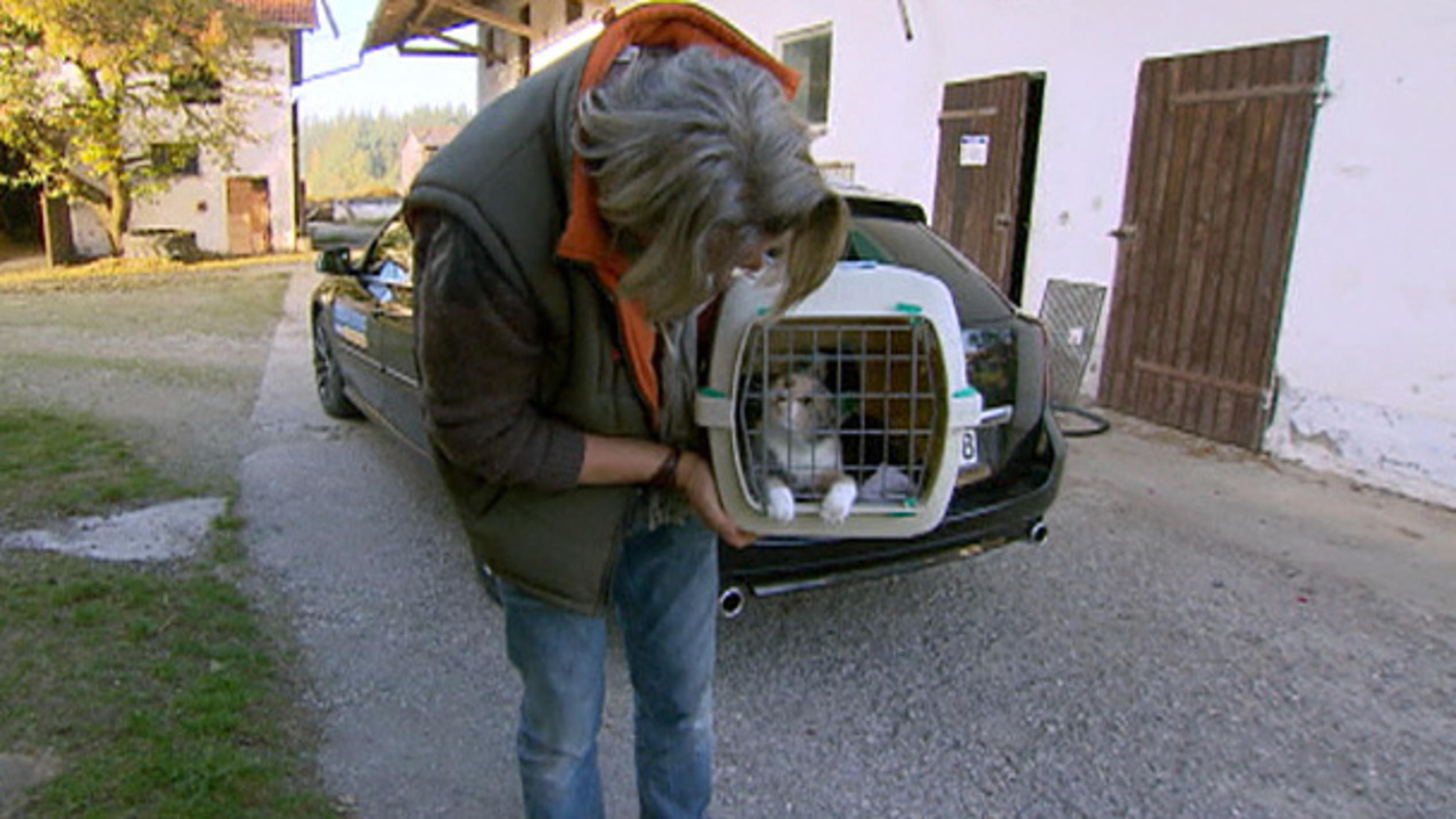Frank Weber kümmert sich um 20 Scheunenkatzen Frank Weber kümmert sich um 20 Scheunenkatzen