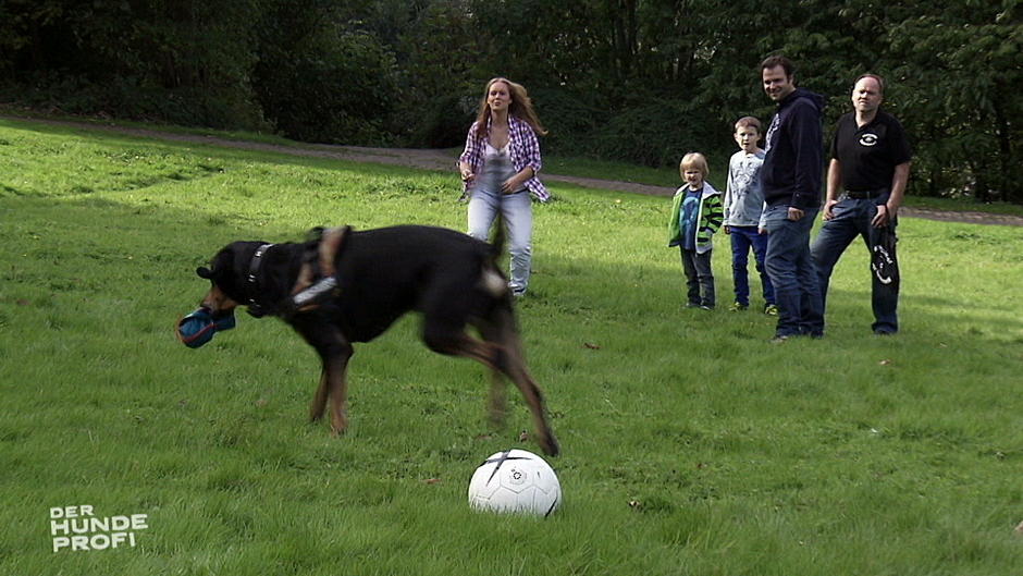 Endet die Trainings-Odysse mit Tyson? Endet die Trainings-Odysse mit Tyson?