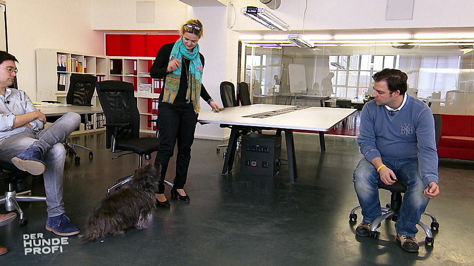 Hundekrawall im Büro: Martin Rütter will Erfolge sehen Hundekrawall im Büro: Martin Rütter will Erfolge sehen