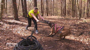 Camp Canis Camp Canis