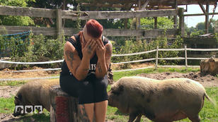 Diane Bartelt liebt "Schnitzel" & "Pommes" Diane Bartelt liebt "Schnitzel" & "Pommes"