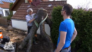 Ralf zeigt, was er mit dem alten Baum vorhat Ralf zeigt, was er mit dem alten Baum vorhat