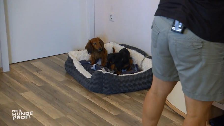 Bella und Diva sind ganz ruhig Bella und Diva sind ganz ruhig