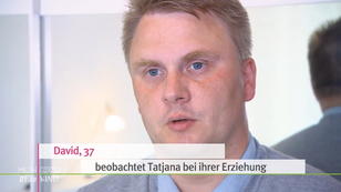 Für David ist Stevens Ernährung unzureichend Für David ist Stevens Ernährung unzureichend