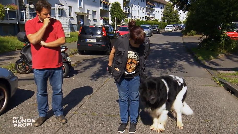 Hat Riesenrabauke Flint Fortschritte gemacht? Hat Riesenrabauke Flint Fortschritte gemacht?