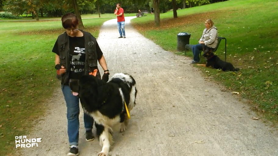 Abschied vom Hundeprofi Abschied vom Hundeprofi