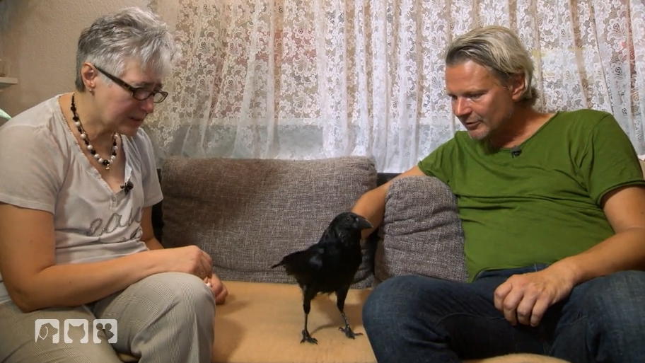 Felix bekommt ein neues Zuhause Felix bekommt ein neues Zuhause