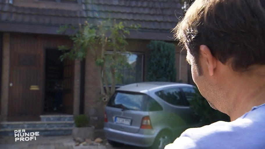 Martin Rütter schaut nach Patientin Maggie Martin Rütter schaut nach Patientin Maggie