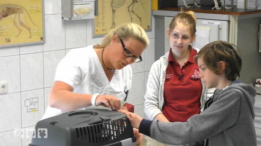 Tierklinik Lüneburg Tierklinik Lüneburg