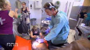 EIn großer Tumor am Zahn EIn großer Tumor am Zahn