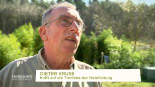 In welches Hotel kann man ein Känguru mitnehmen? In welches Hotel kann man ein Känguru mitnehmen?