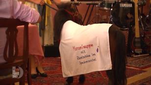 Connys Pony darf ins Wohnzimmer Connys Pony darf ins Wohnzimmer