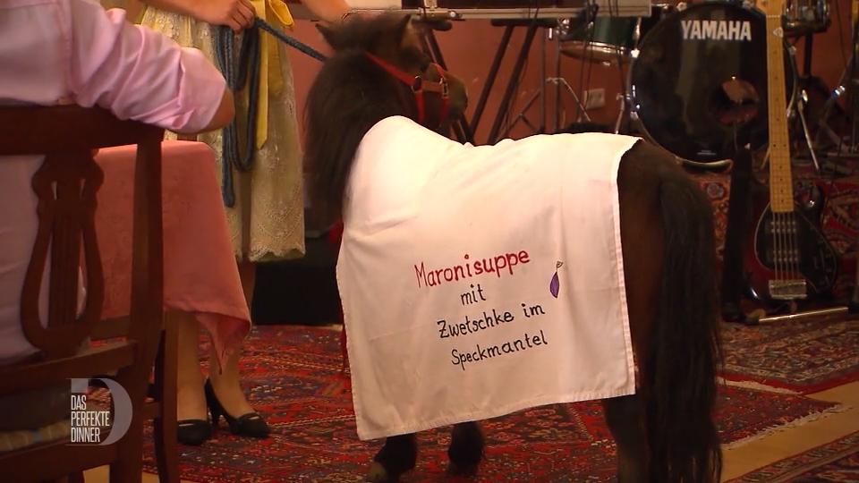 Connys Pony darf ins Wohnzimmer Connys Pony darf ins Wohnzimmer