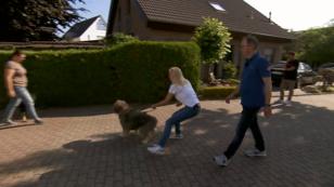 Schafpudel Bombay – kaum haltbar! Schafpudel Bombay – kaum haltbar!