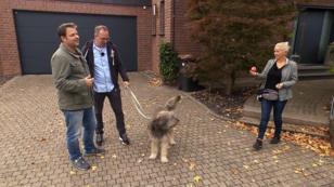 Bombays neuer Alltag hat ihn vollkommen verändert Bombays neuer Alltag hat ihn vollkommen verändert