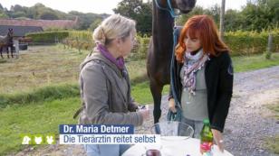 "Life-Hacks" aus dem Internet im Test "Life-Hacks" aus dem Internet im Test