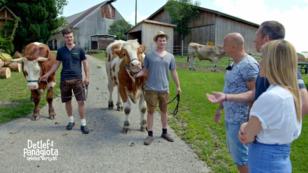 Detlef und Panagiota lernen ihre Reittiere kennen Detlef und Panagiota lernen ihre Reittiere kennen