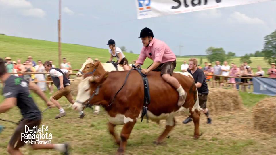 Detlefs Ochse hat die Nase vorn Detlefs Ochse hat die Nase vorn
