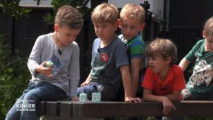 Ein Cupcake-Experiment Ein Cupcake-Experiment