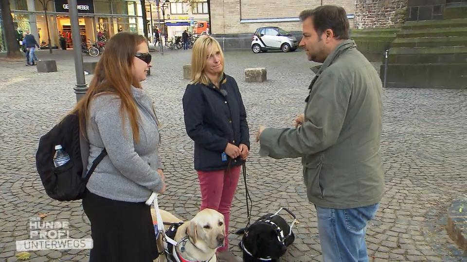 Ein Blick in die Ausbildung von Blindenführhunden Ein Blick in die Ausbildung von Blindenführhunden