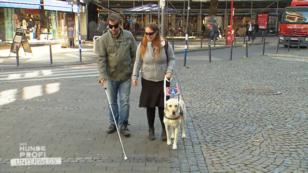 Martin Rütter begibt sich in einen Selbstversuch Martin Rütter begibt sich in einen Selbstversuch
