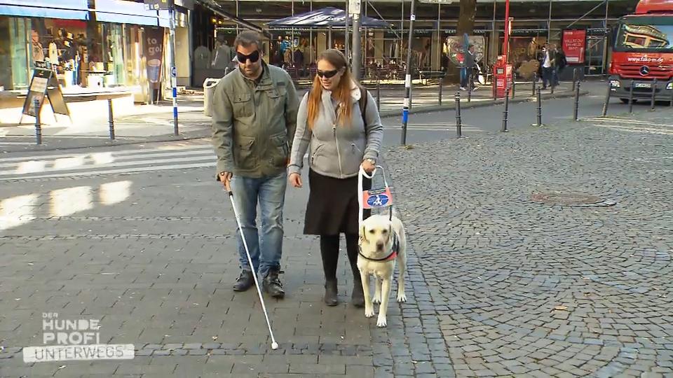 Martin Rütter begibt sich in einen Selbstversuch Martin Rütter begibt sich in einen Selbstversuch