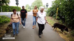 Unterwegs mit den Therapiehunden Unterwegs mit den Therapiehunden