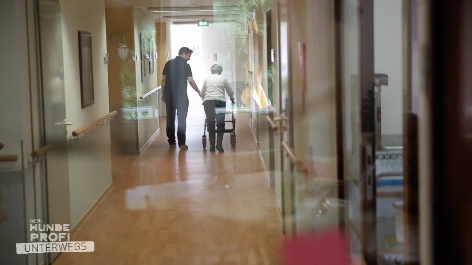 Martin Rütter widmet eine Folge der Demenz Martin Rütter widmet eine Folge der Demenz