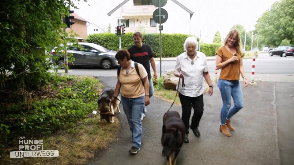 Martin und Sophie begleiten Therapiehunde Martin und Sophie begleiten Therapiehunde