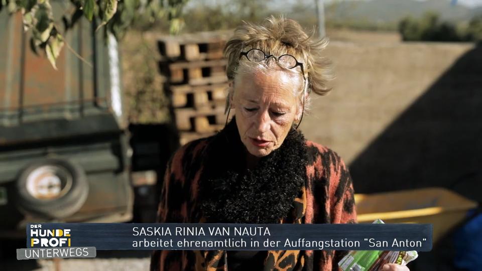 "Ich kann die Hunde nicht alle retten" "Ich kann die Hunde nicht alle retten"