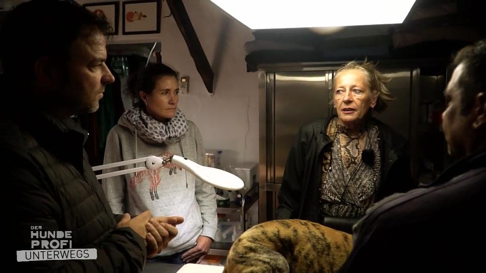 Welcher Hund hat eine Zukunft, welcher nicht? Welcher Hund hat eine Zukunft, welcher nicht?