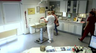 Hoher Besuch im Anmarsch Hoher Besuch im Anmarsch