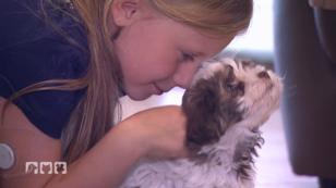 Kurt soll mal ein Diabeteswarnhund werden Kurt soll mal ein Diabeteswarnhund werden