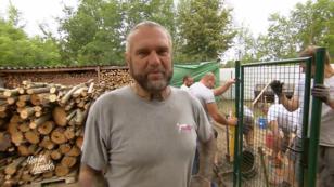 Wie geht es im Hundeauslauf voran? Wie geht es im Hundeauslauf voran?