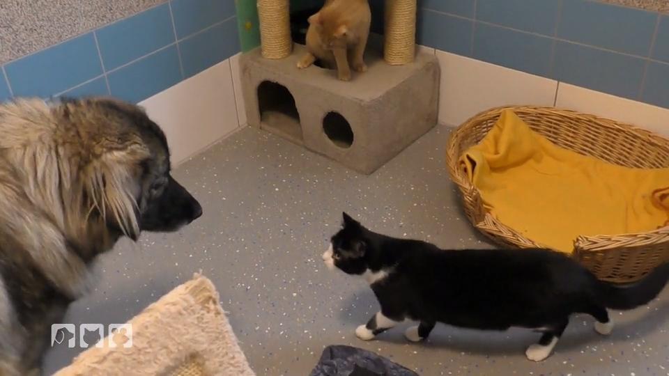 Ein ausgeprägter Schutzinstinkt ist gefragt Ein ausgeprägter Schutzinstinkt ist gefragt