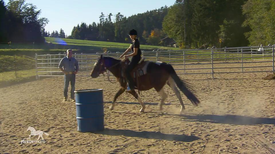Heute darf Steffi ihre Blümchen endlich reiten Heute darf Steffi ihre Blümchen endlich reiten