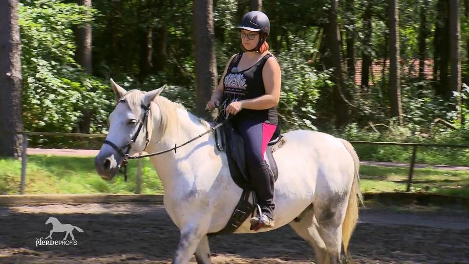 Hat sich das Rückentraining gelohnt? Hat sich das Rückentraining gelohnt?
