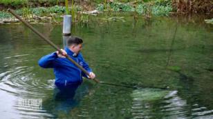 Spannung am Fischteich Spannung am Fischteich
