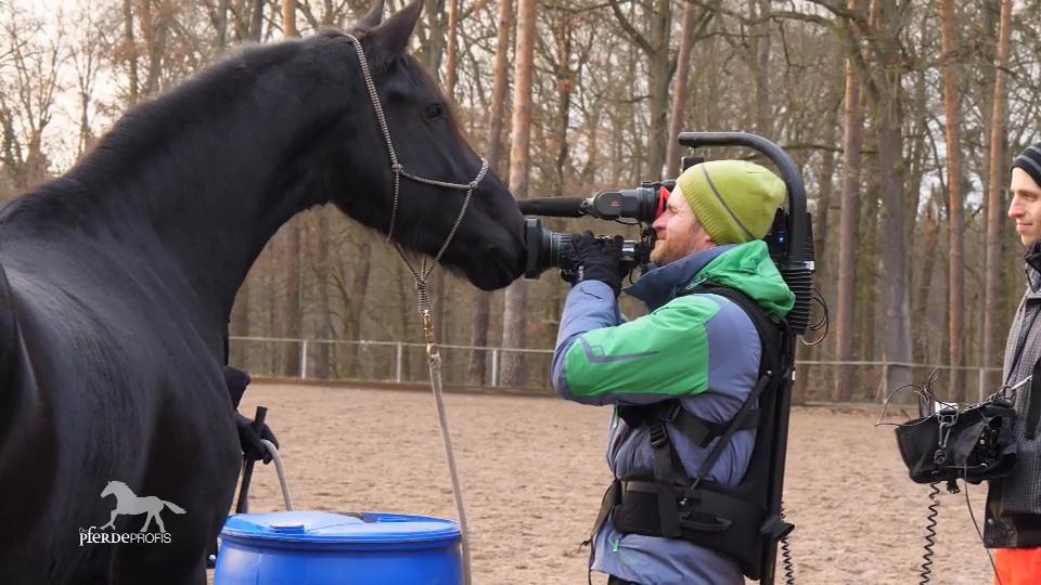 Merle soll ganz viele Sachen anfassen Merle soll ganz viele Sachen anfassen