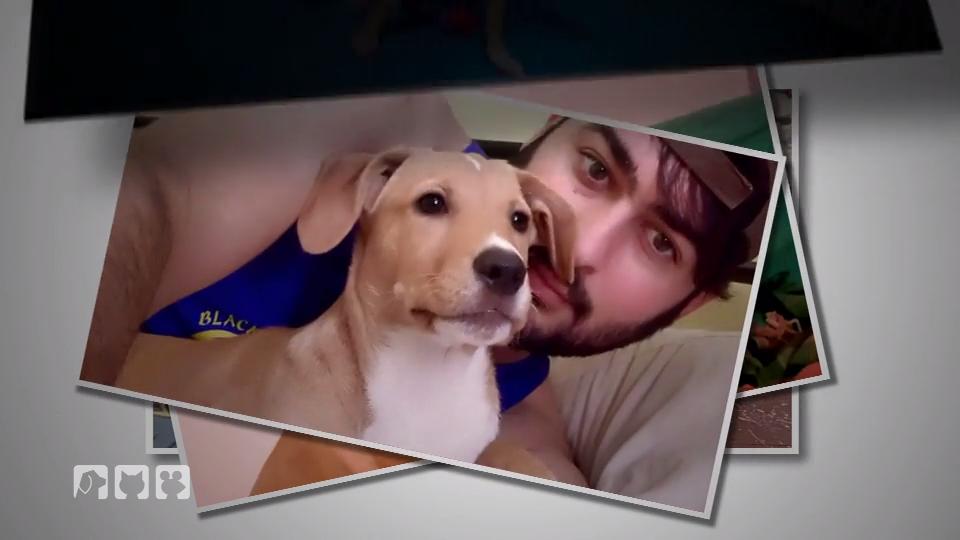 Die Geschichte von Aross und Lilly Die Geschichte von Aross und Lilly