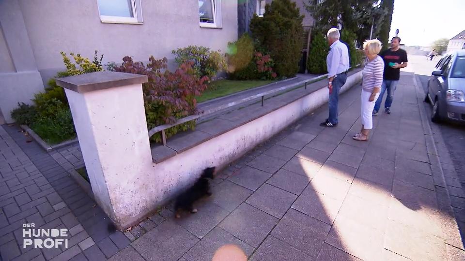 Werner und Erika müssen jetzt ignorieren lernen Werner und Erika müssen jetzt ignorieren lernen