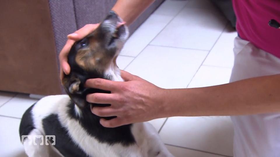 Pumba droht akute Erstickungsgefahr Pumba droht akute Erstickungsgefahr