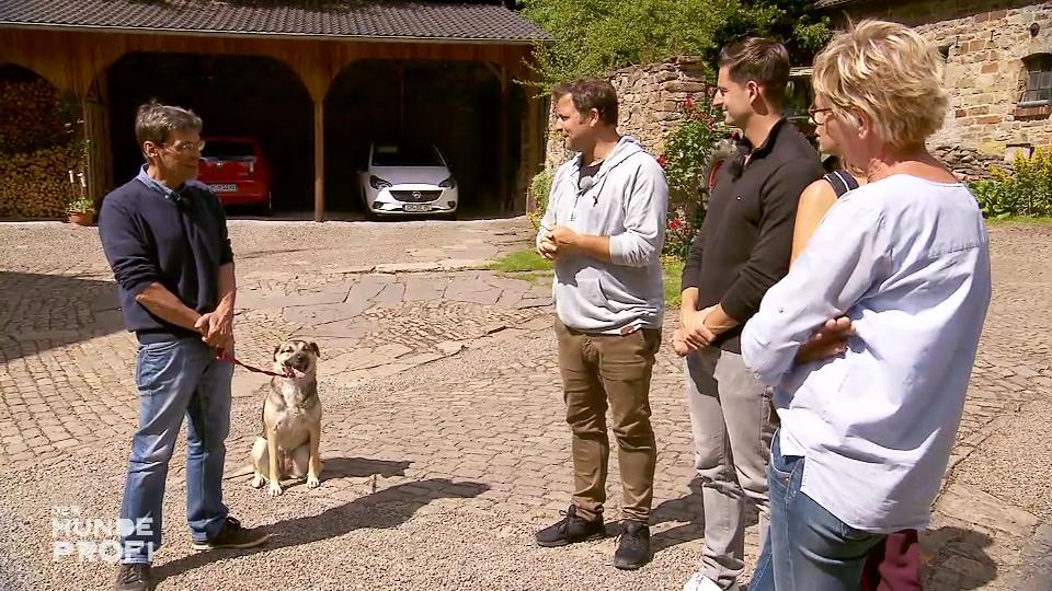 Sofie soll merken, wie wichtig ihr Herrchen ist Sofie soll merken, wie wichtig ihr Herrchen ist